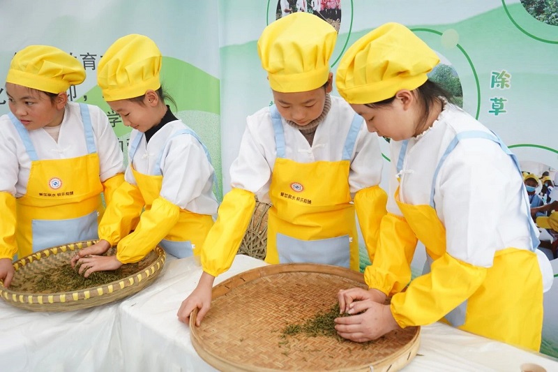 英国威廉集团官网