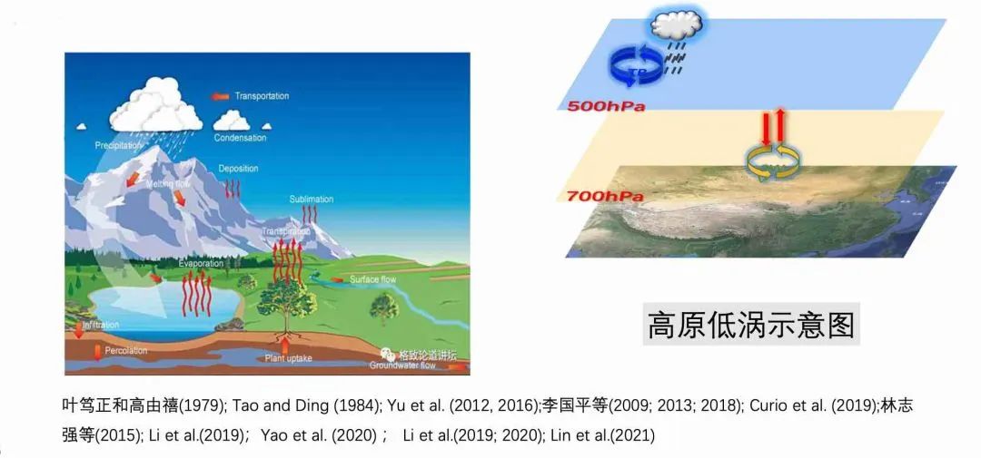 英国威廉集团官网